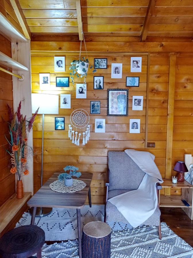 Casa La Agapia Bed & Breakfast Dış mekan fotoğraf