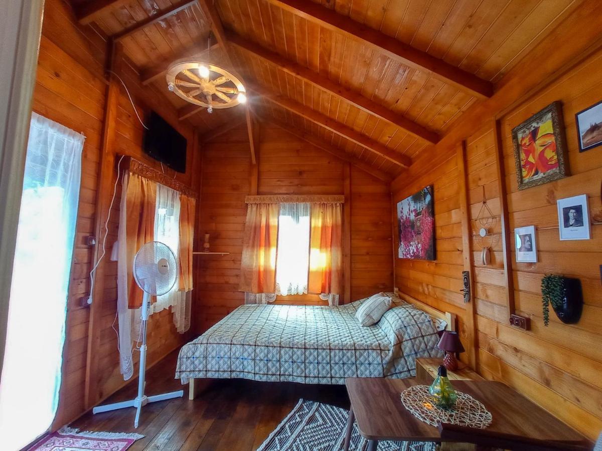 Casa La Agapia Bed & Breakfast Dış mekan fotoğraf